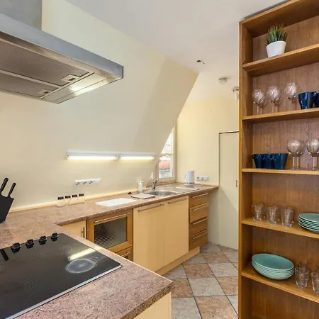 3 Storey W/terrace * Riga